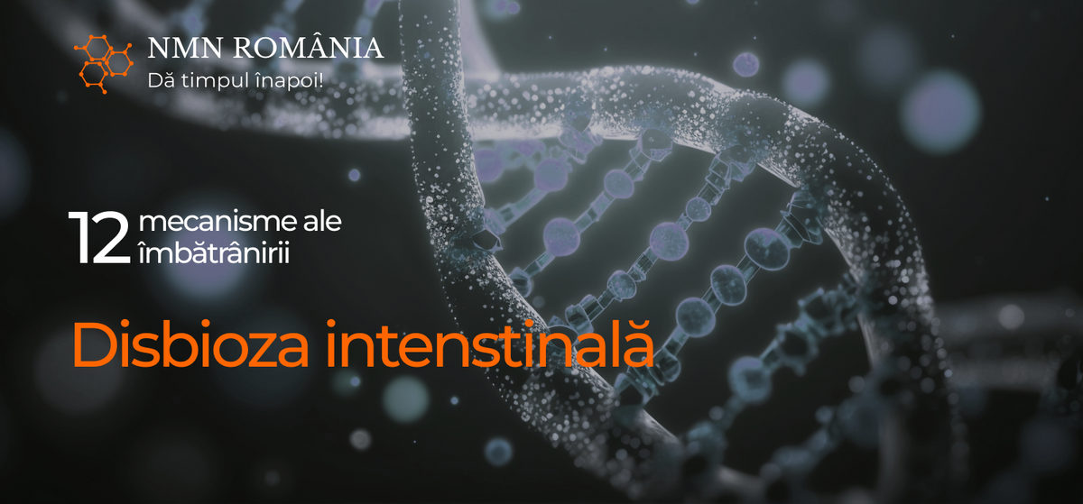 Disbioza intestinală: legătura mai puțin vizibilă dintre intestin și î ...