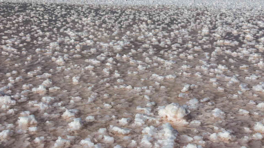 L-Treonatul de magneziu: Beneficii pentru creier, somn și longevitate