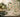 Reprezentare editorială a microbiomului intestinal alături de alimente fermentate