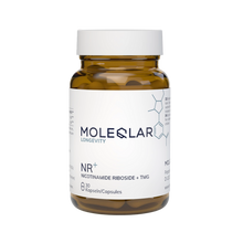 NR+ MoleQlar Nicotinamidă Ribozidă