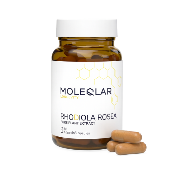 Rhodiola Rosea pentru echilibru și stres