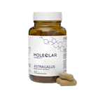 Astragalus – activator natural al longevității celulare